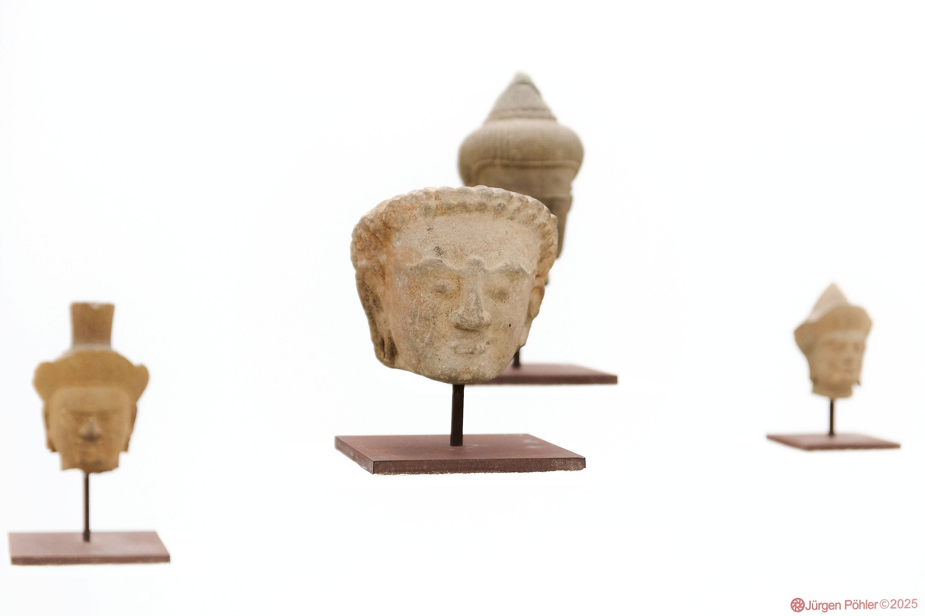 20250806 NIKON D850 153858